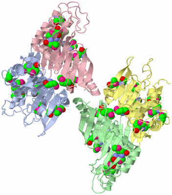 Image Asym./Biol. Unit