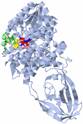 Image Biol. Unit 1 - sites