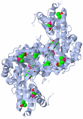 Image Biological Unit 1