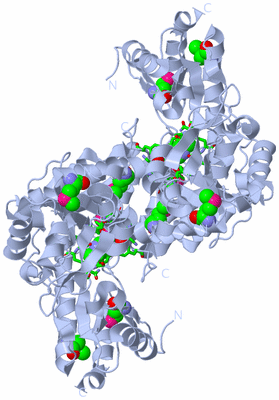 Image Biol. Unit 1 - sites