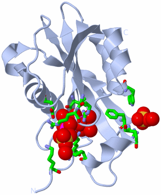 Image Biol. Unit 1 - sites