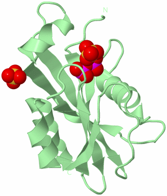 Image Biological Unit 2