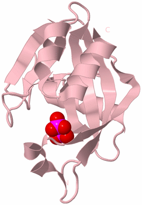 Image Biological Unit 3