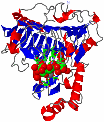 Image Asym./Biol. Unit - sites