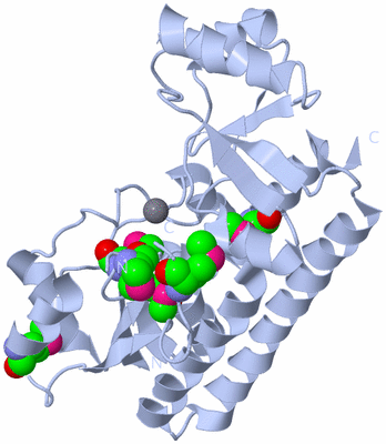 Image Biological Unit 1