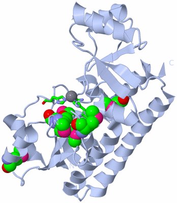 Image Biol. Unit 1 - sites