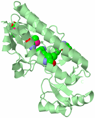 Image Biological Unit 2