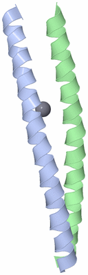 Image Asymmetric Unit