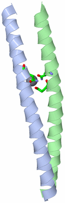 Image Asym. Unit - sites