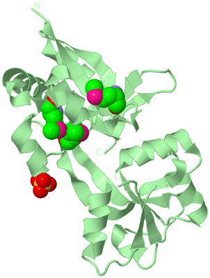 Image Biological Unit 2