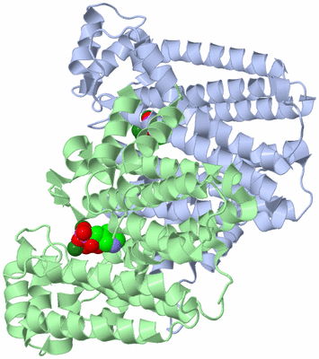 Image Asym./Biol. Unit