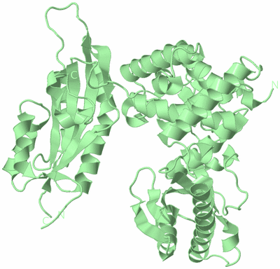 Image Biological Unit 2