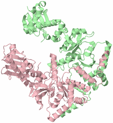 Image Biological Unit 2