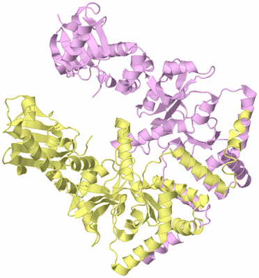 Image Biological Unit 3