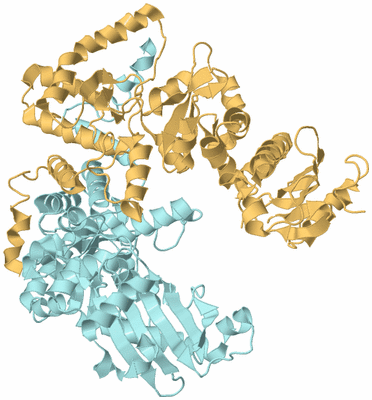 Image Biological Unit 4