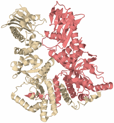 Image Biological Unit 5