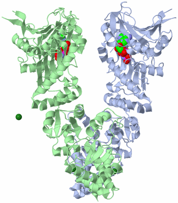 Image Asym./Biol. Unit