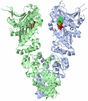 Image Asym./Biol. Unit