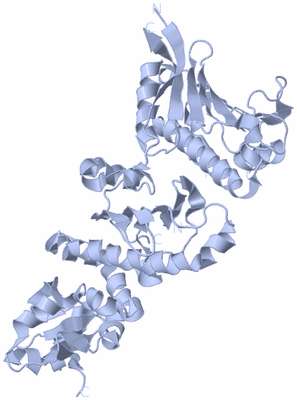 Image Biological Unit 1