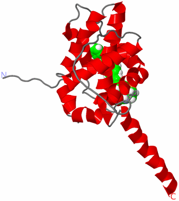 Image NMR Structure - model 1