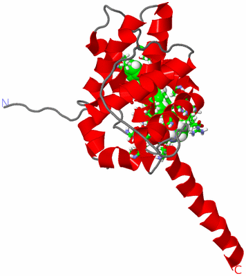 Image NMR Structure - model 1, sites