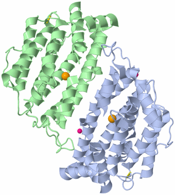 Image Asym./Biol. Unit