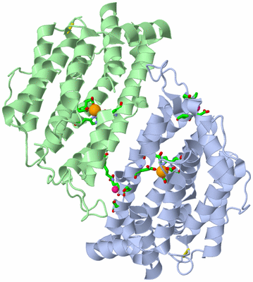 Image Asym./Biol. Unit - sites