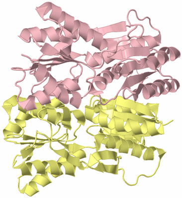 Image Biological Unit 2