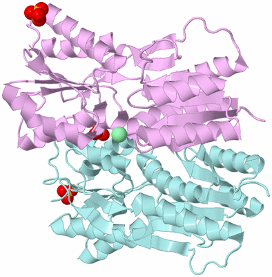 Image Biological Unit 3