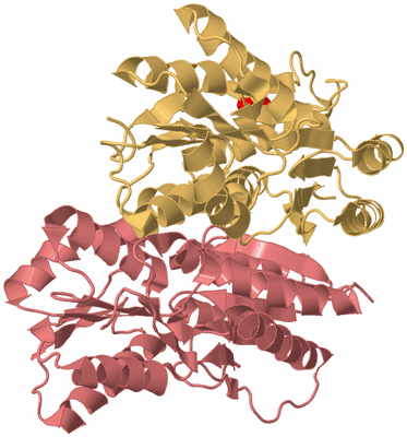 Image Biological Unit 4