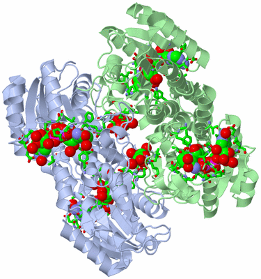 Image Biol. Unit 1 - sites