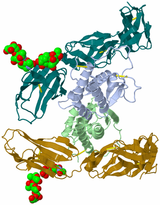 Image Biological Unit 1