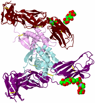 Image Biological Unit 2