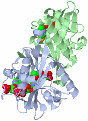 Image Asym./Biol. Unit