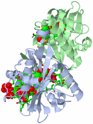 Image Asym./Biol. Unit - sites