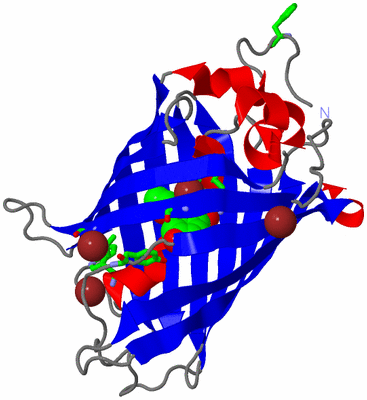 Image Asym./Biol. Unit - sites