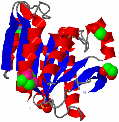 Image Asym./Biol. Unit