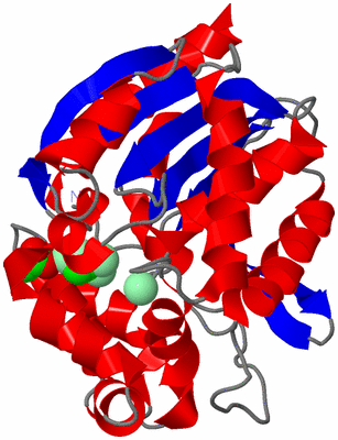 Image Asym./Biol. Unit