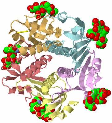 Image Biological Unit 1