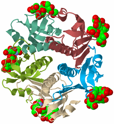 Image Biological Unit 2