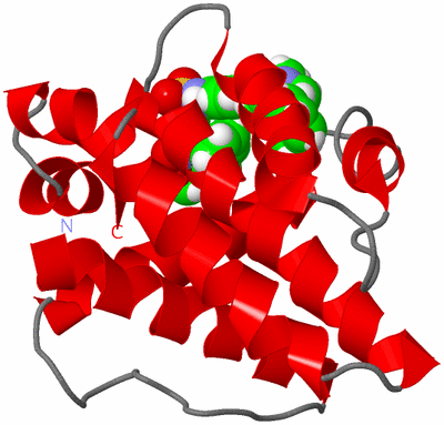 Image NMR Structure - model 1