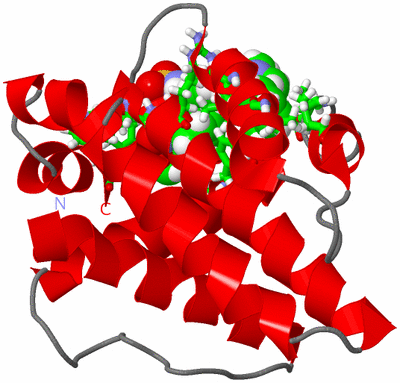 Image NMR Structure - model 1, sites