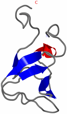 Image NMR Structure - model 1