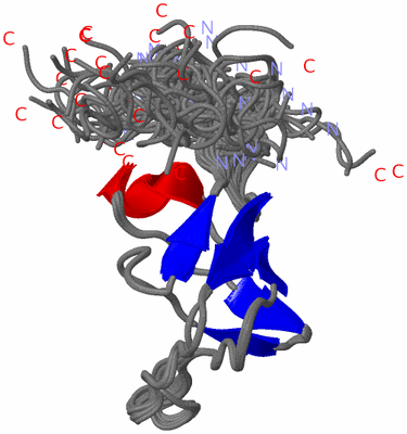 Image NMR Structure - all models