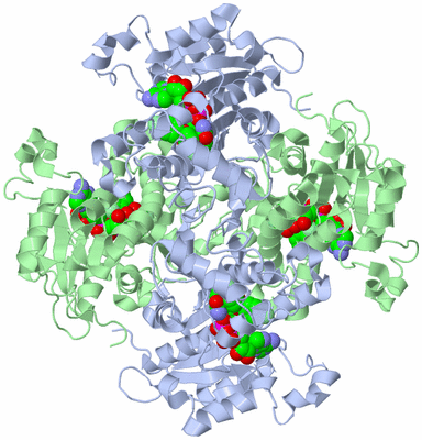 Image Biological Unit 1