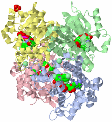 Image Asym./Biol. Unit