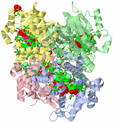 Image Asym./Biol. Unit - sites