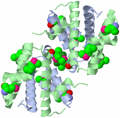 Image Biological Unit 1