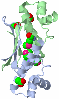 Image Asym./Biol. Unit