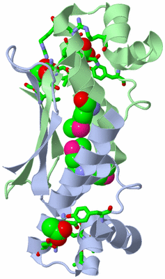 Image Asym./Biol. Unit - sites